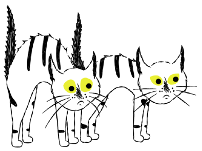 B5 2 yellow eyed cats